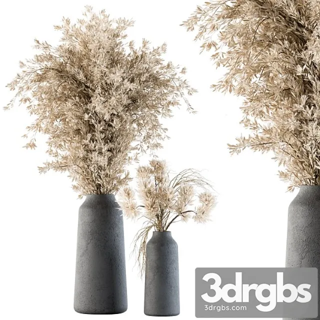 Dry plants 42 – dried plant pampas Dry plants 42 – dried plant pampas