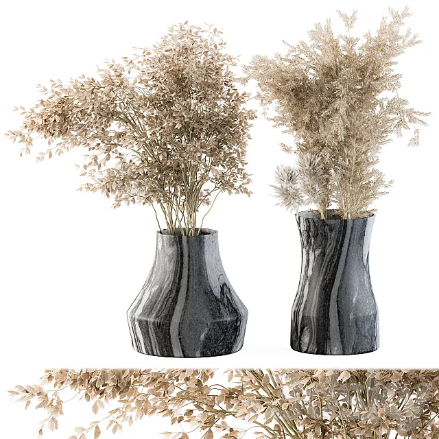 Dry plants 43 – Dried Plant Pampas 3DModel