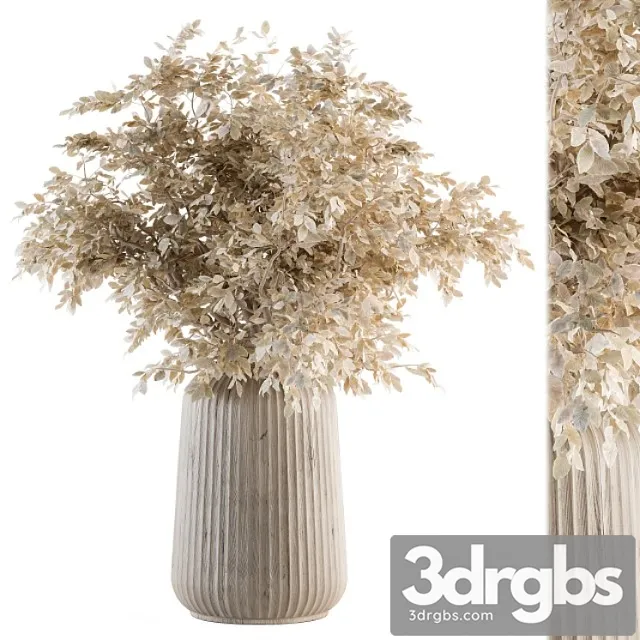 Dry plants 46 – dried plant bouquet Dry plants 46 – dried plant bouquet