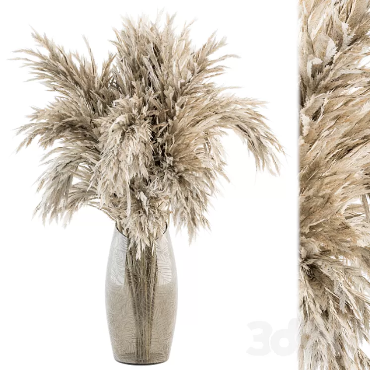 Dry plants 47 – Dried Plant Pampas Bouquet 3D Model