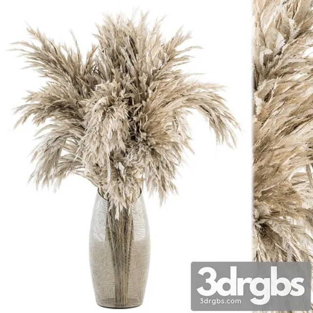 Dry plants 47 – dried plant pampas bouquet Dry plants 47 – dried plant pampas bouquet