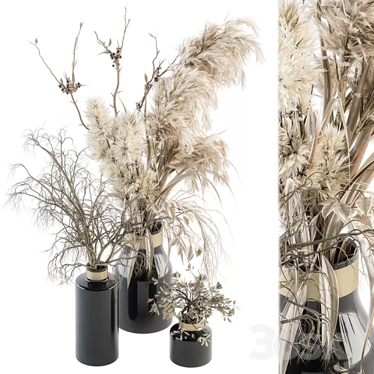 Dry plants 70 – Dried Pampas Set 3D Model