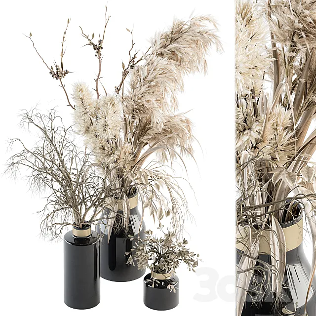 Dry plants 70 – Dried Pampas Set 3DModel Dry plants 70 – Dried Pampas Set 3DModel