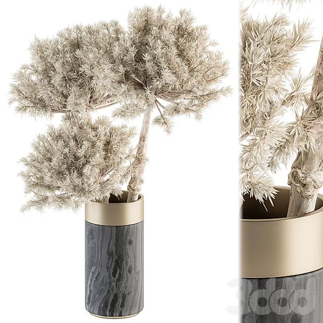 Dry plants 79 – Dried Plants in Black and Gold Vase 3D Model Dry plants 79 – Dried Plants in Black and Gold Vase 3D Model