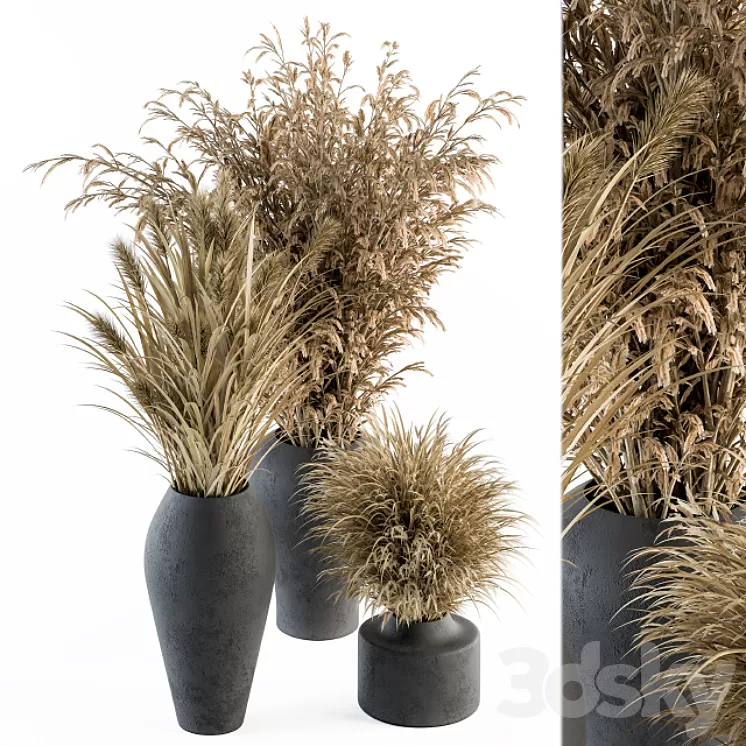 Dry plants 81 - Dried Plants Set 3D Model - 3DSKY Decor Helper