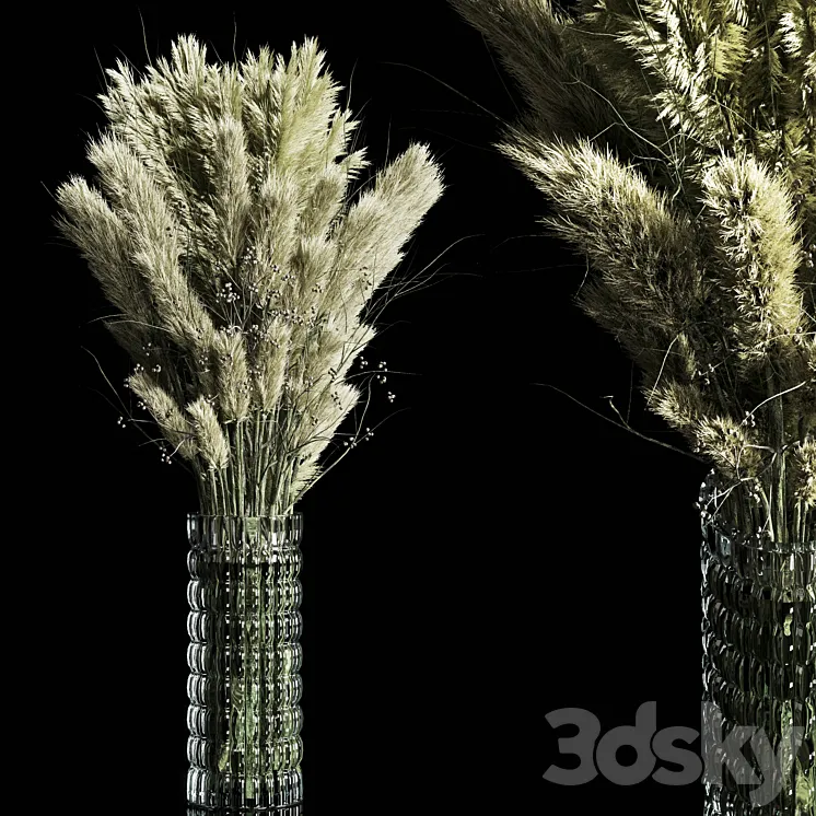 Dry Plants pampas Bouquet Indoor glass vase 3D Model Free Download Dry Plants pampas Bouquet Indoor glass vase 3D Model Free Download