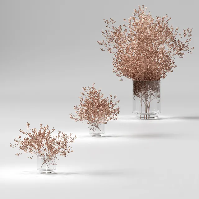 Dry plants set. 3 models 3D Model Dry plants set. 3 models 3D Model