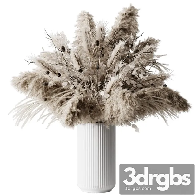 Dry plants Dry plants