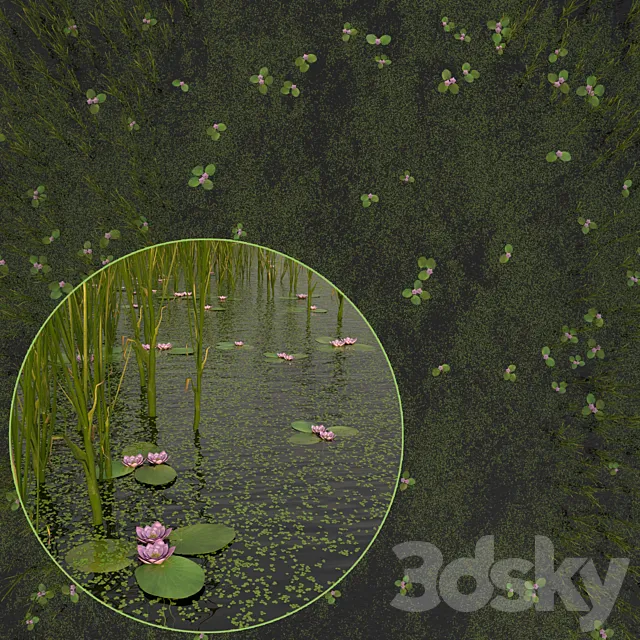 Duckweed Cattail and Water Lilies 3D Model