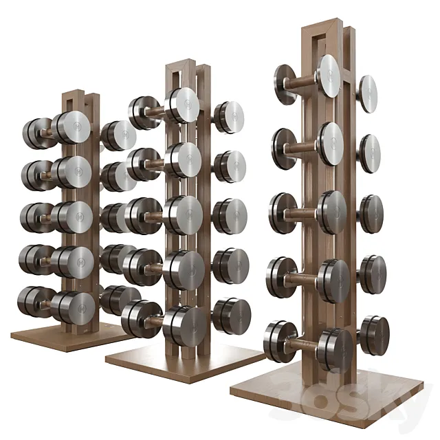 Dumbbell set 3D Model