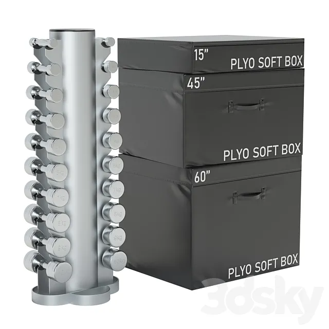 Dumbbells and jump boxes 3D Model