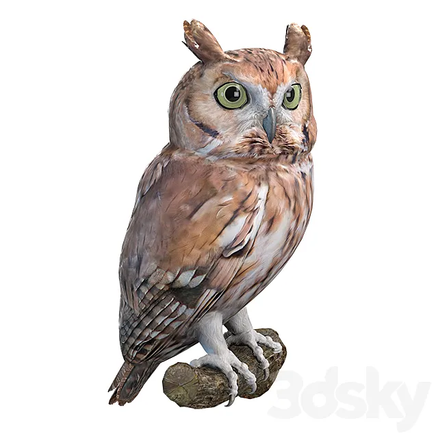 Eastern scoop 3D Model Eastern scoop 3D Model