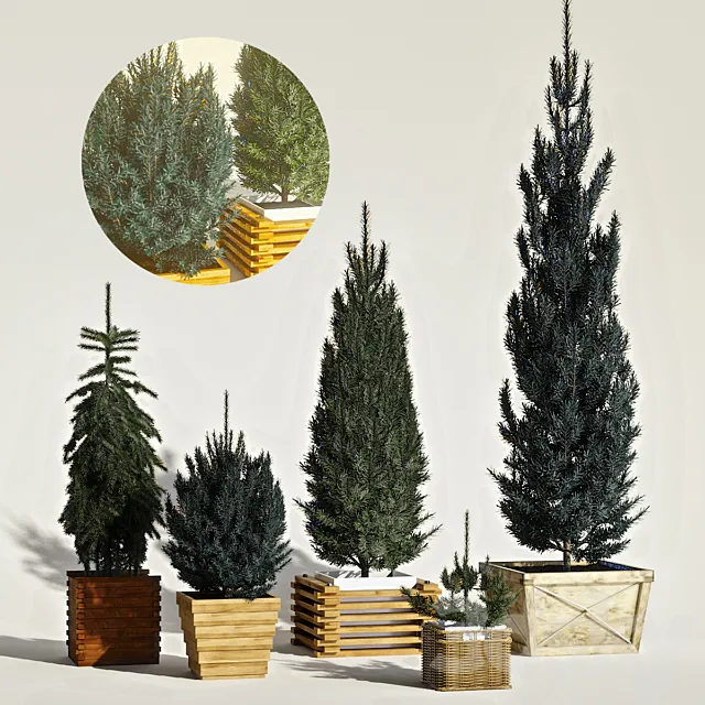 Eating in tubs 3D Model Eating in tubs 3D Model