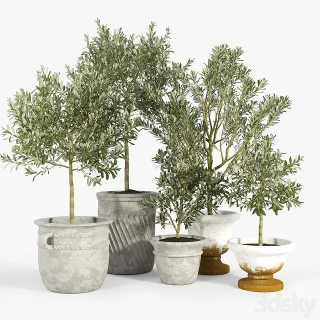 Eclectic Villa Planters 3D Model Eclectic Villa Planters 3D Model