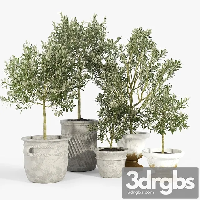 Eclectic villa planters Eclectic villa planters