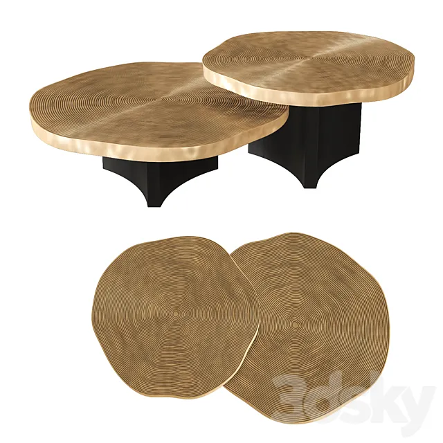 Eichholtz – Coffee Table Thousand Oaks set of 2 3D Model