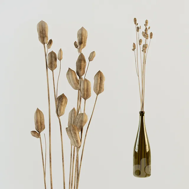 ekibana 3D Model ekibana 3D Model