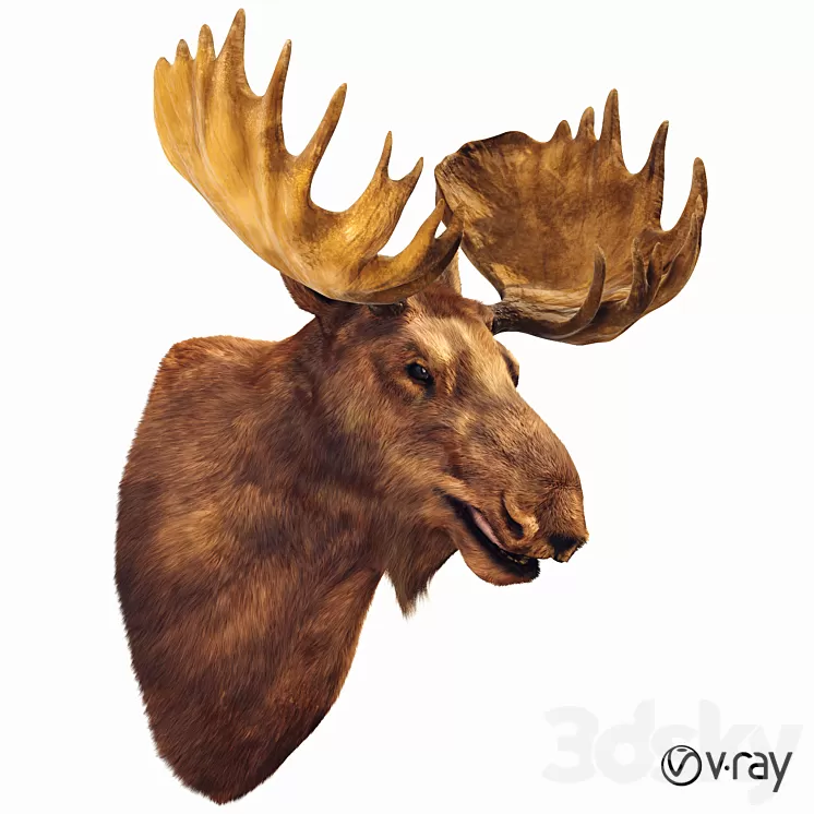 Elk head 3D Model