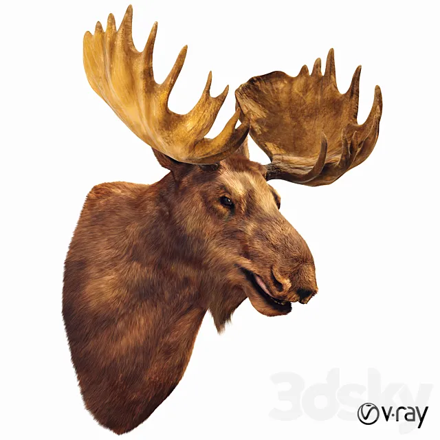 Elk head 3DModel Elk head 3DModel
