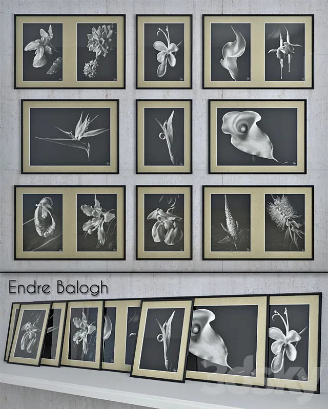 Endre Balogh 3DModel Endre Balogh 3DModel