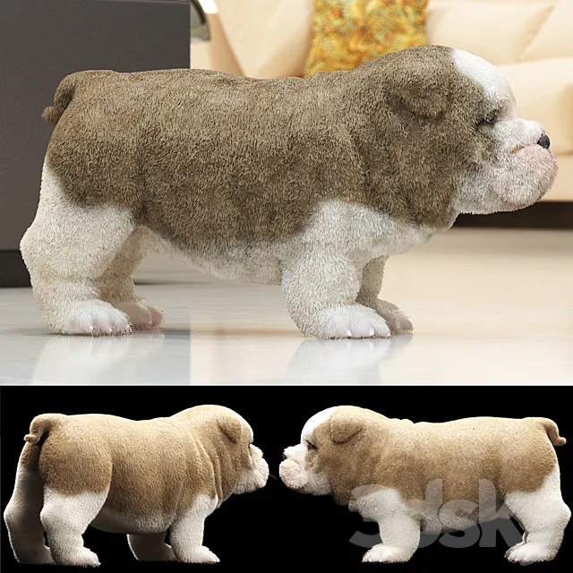 ENGLISH BULDOG PUPPY 3D Model