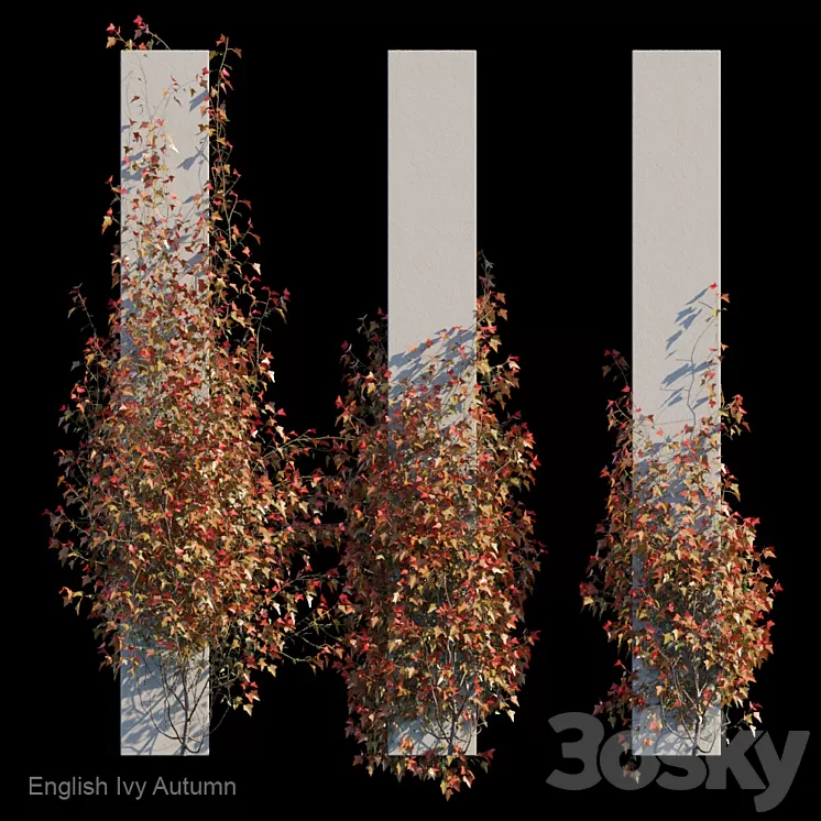 English Ivy Autumn 3D Model English Ivy Autumn 3D Model