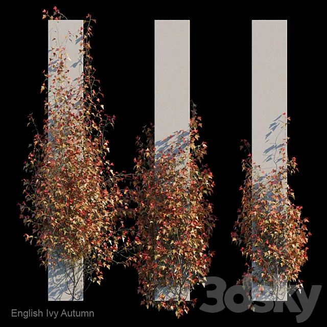 English Ivy Autumn 3DModel English Ivy Autumn 3DModel