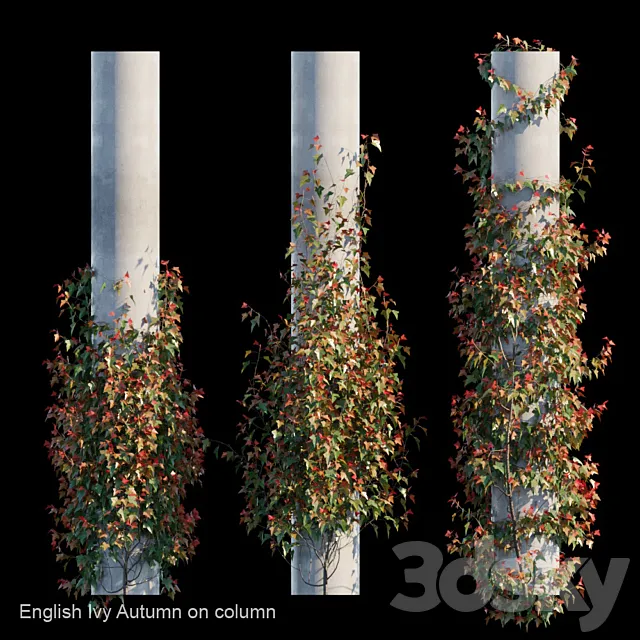 English Ivy Autumn on column 3DModel English Ivy Autumn on column 3DModel