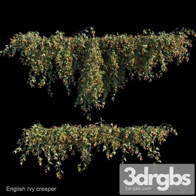 English Ivy Creeper 3D Model Download