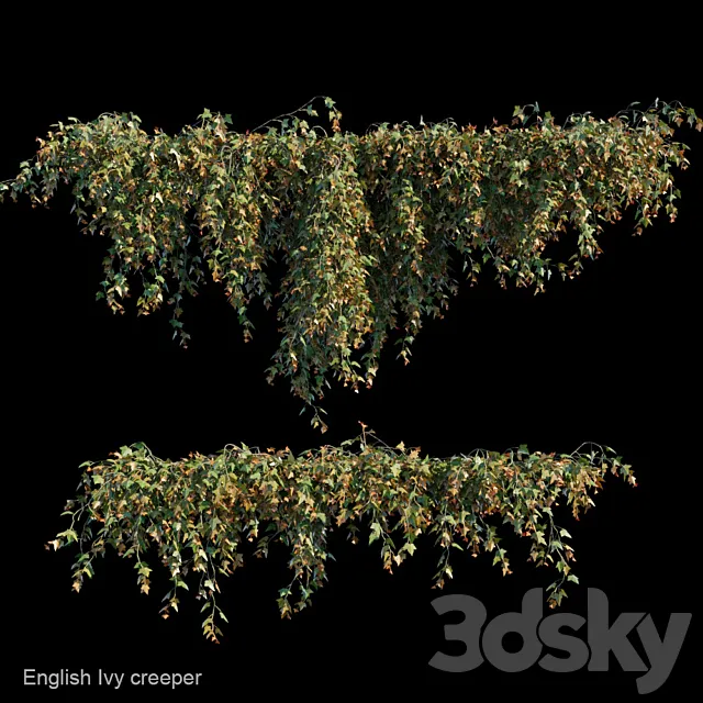 English Ivy creeper 3DModel English Ivy creeper 3DModel