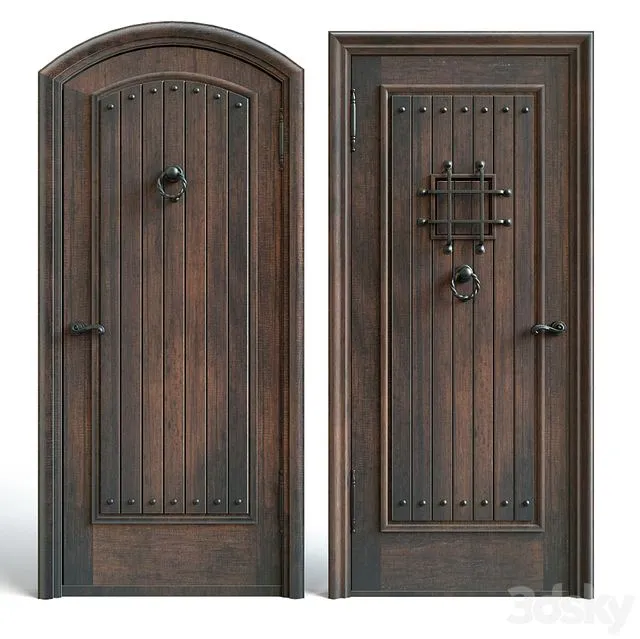 Entrance doors 3 3D Model