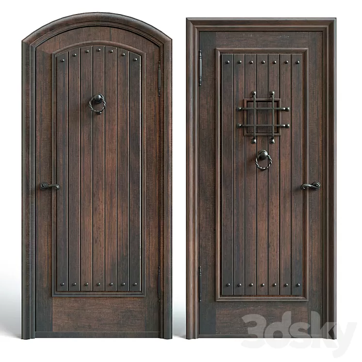 Entrance doors 3 3D Model