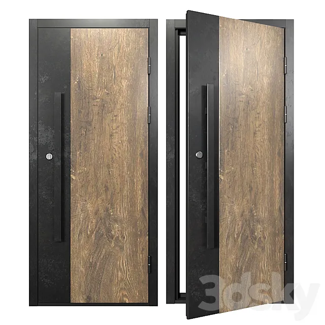 Entrance doors 5 3D Model