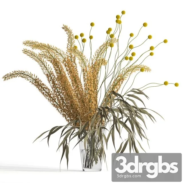 Eremurus Eucalyptus Craspedia Bouquet 3D Model Download Eremurus Eucalyptus Craspedia Bouquet 3D Model Download