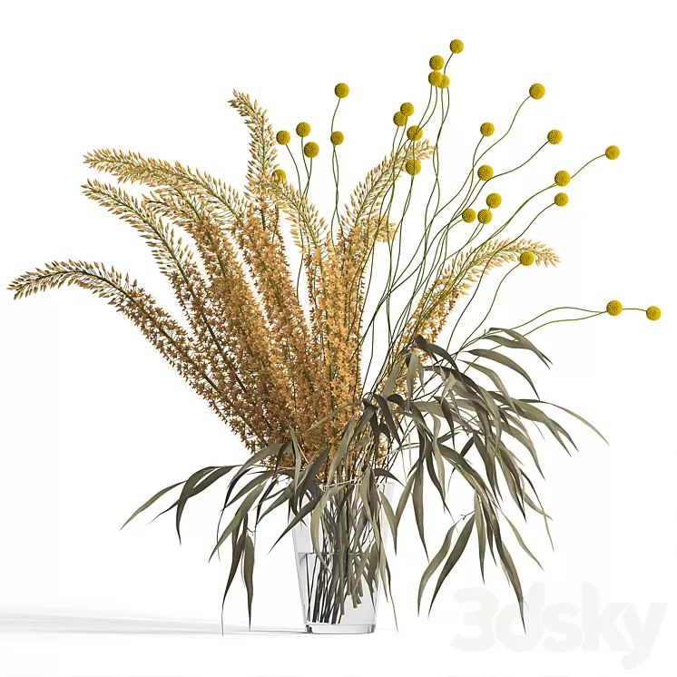 Eremurus & eucalyptus & craspedia bouquet 3D Model