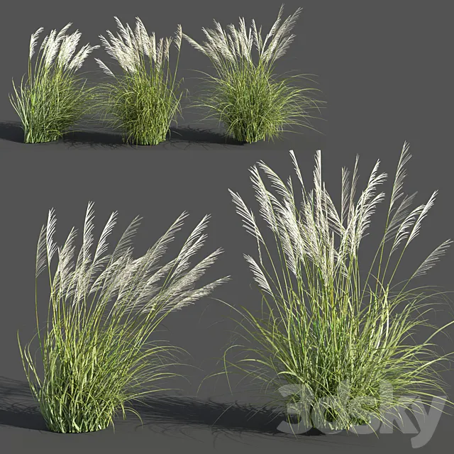 Eriantus of Ravenna 3D Model Eriantus of Ravenna 3D Model