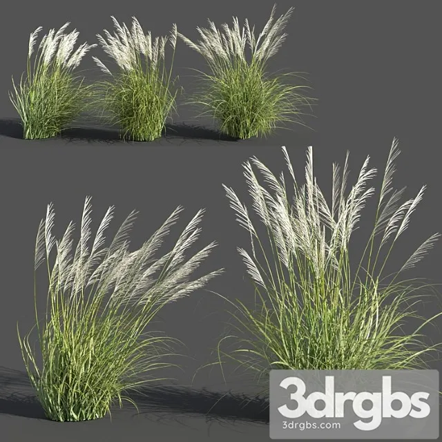 Eriantus of ravenna Eriantus of ravenna