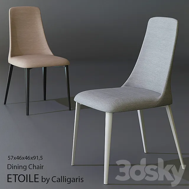 ETOILE 3D Model ETOILE 3D Model