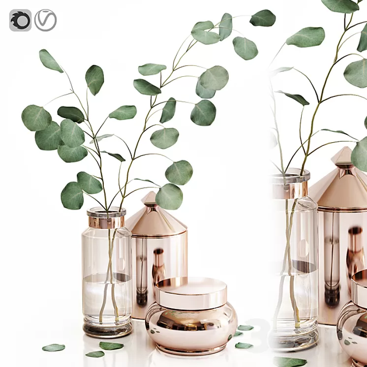 Eucalyptus 1 3D Model