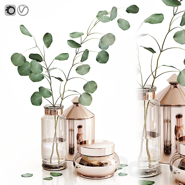 Eucalyptus 1 3DModel