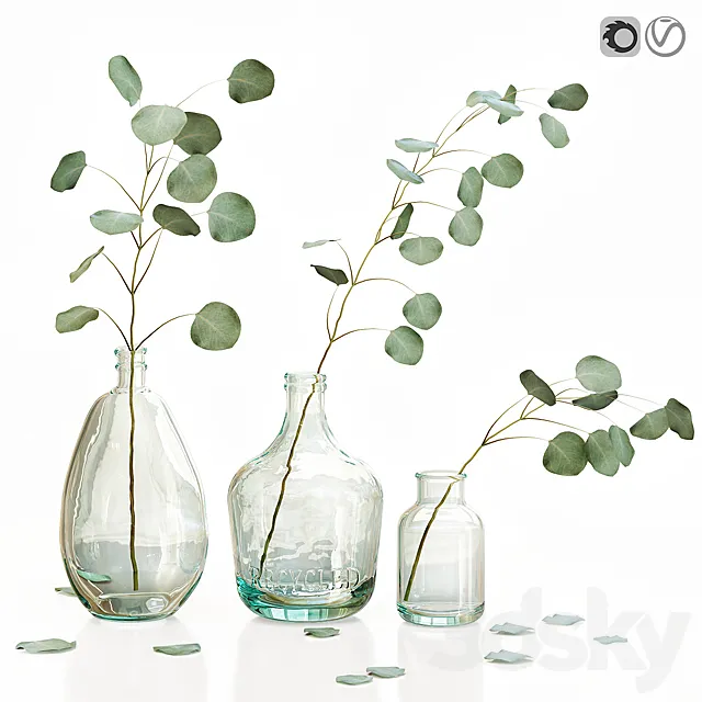 Eucalyptus 2 3D Model Eucalyptus 2 3D Model