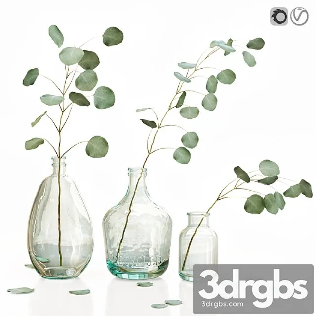 Eucalyptus 2 Eucalyptus 2