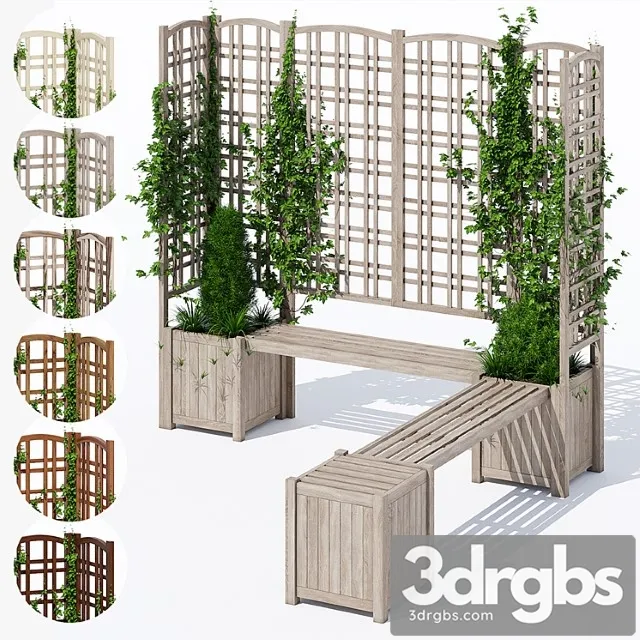 Eucalyptus Eucalyptus