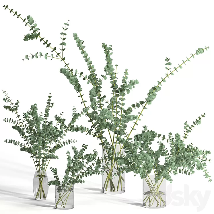 Eucalyptus Baby blue set 3D Model