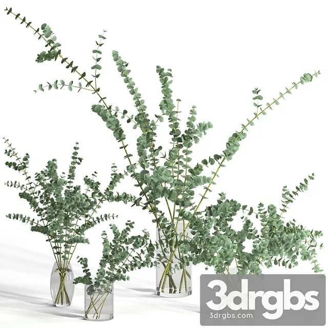 Eucalyptus baby blue set Eucalyptus baby blue set