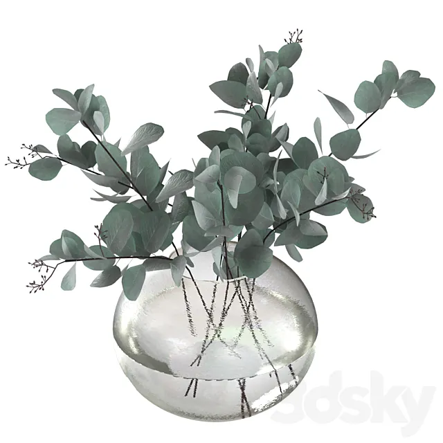 Eucalyptus bouquet 3D Model Eucalyptus bouquet 3D Model