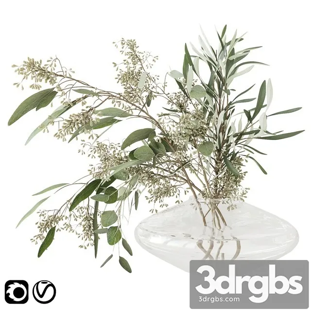 Eucalyptus Bouquet 3D Model Download Eucalyptus Bouquet 3D Model Download