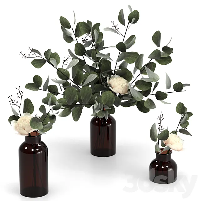 Eucalyptus bouquets 3D Model Eucalyptus bouquets 3D Model