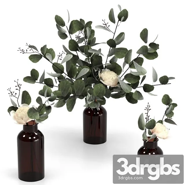 Eucalyptus Bouquets 4 3D Model Download Eucalyptus Bouquets 4 3D Model Download