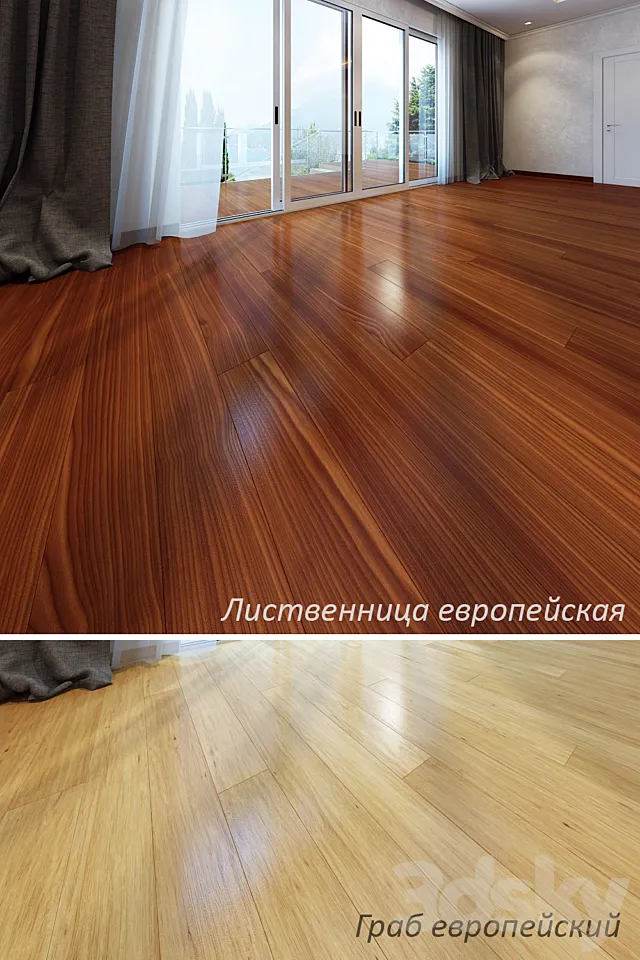 European larch and hornbeam European 3D Model European larch and hornbeam European 3D Model